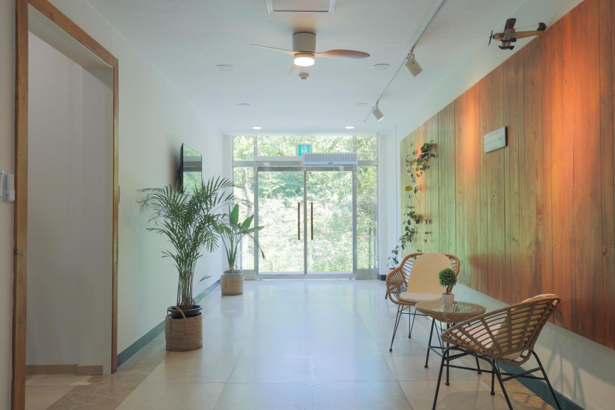 Zio Pinetree Hotel Yangyang Luaran gambar